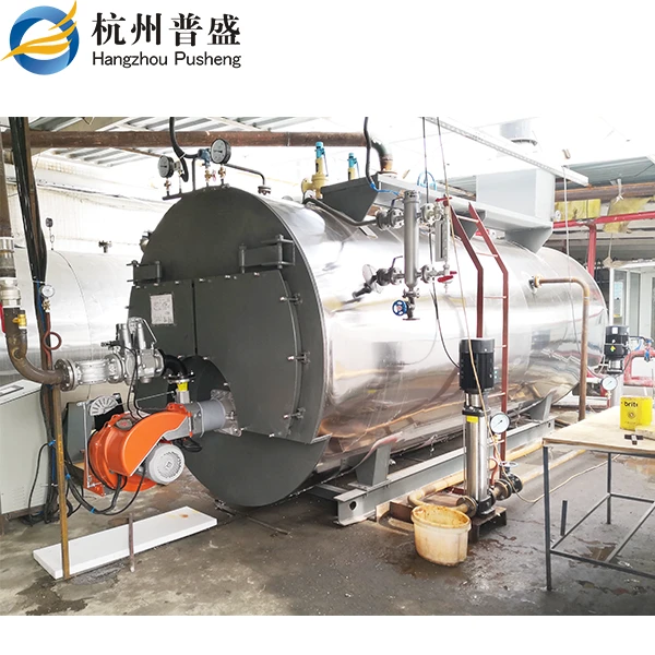Steam Boiler For Epp Production Line
